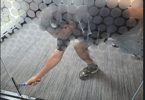 WINDOW CLEANING