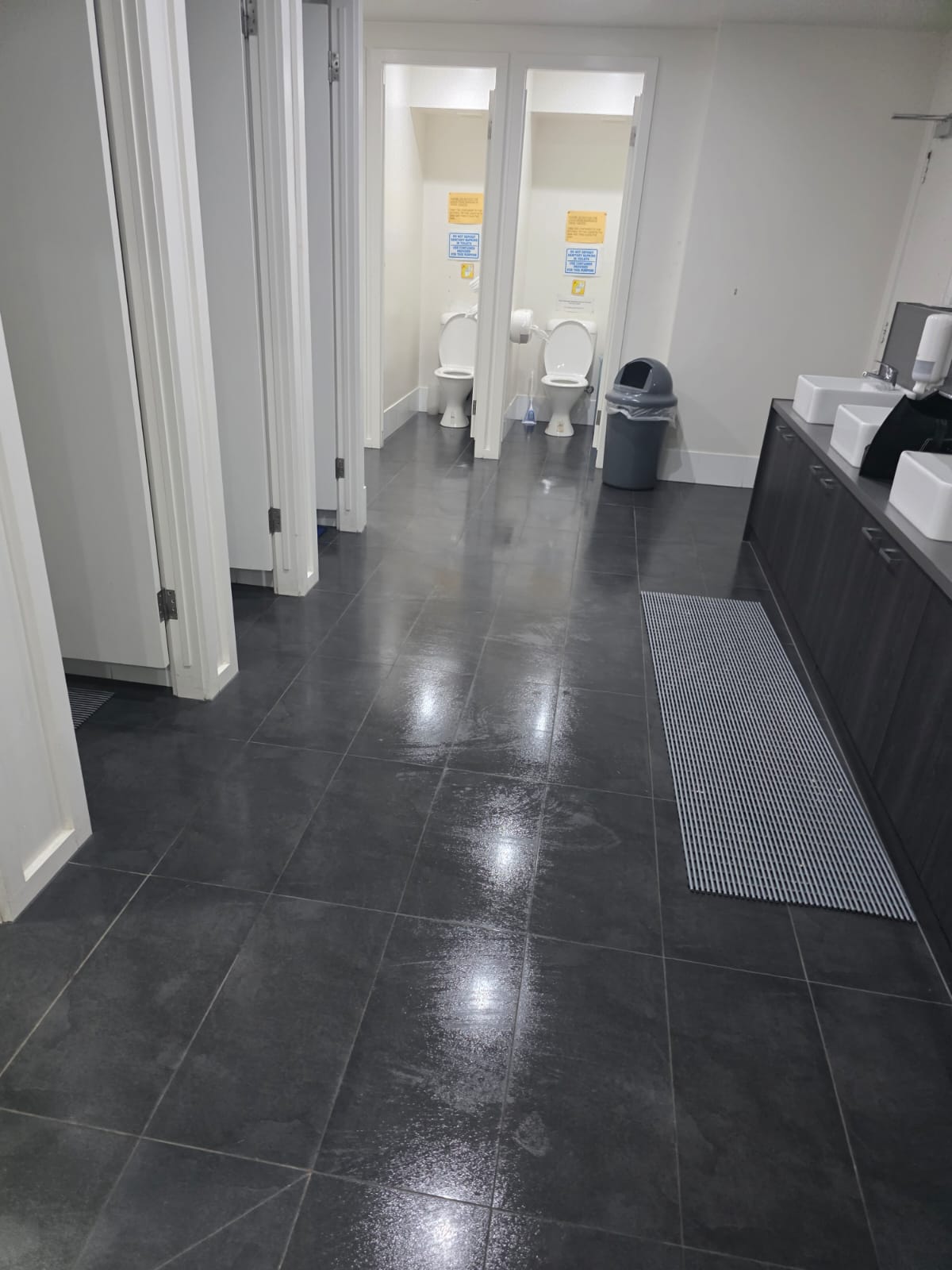 Bathroom Cleaning