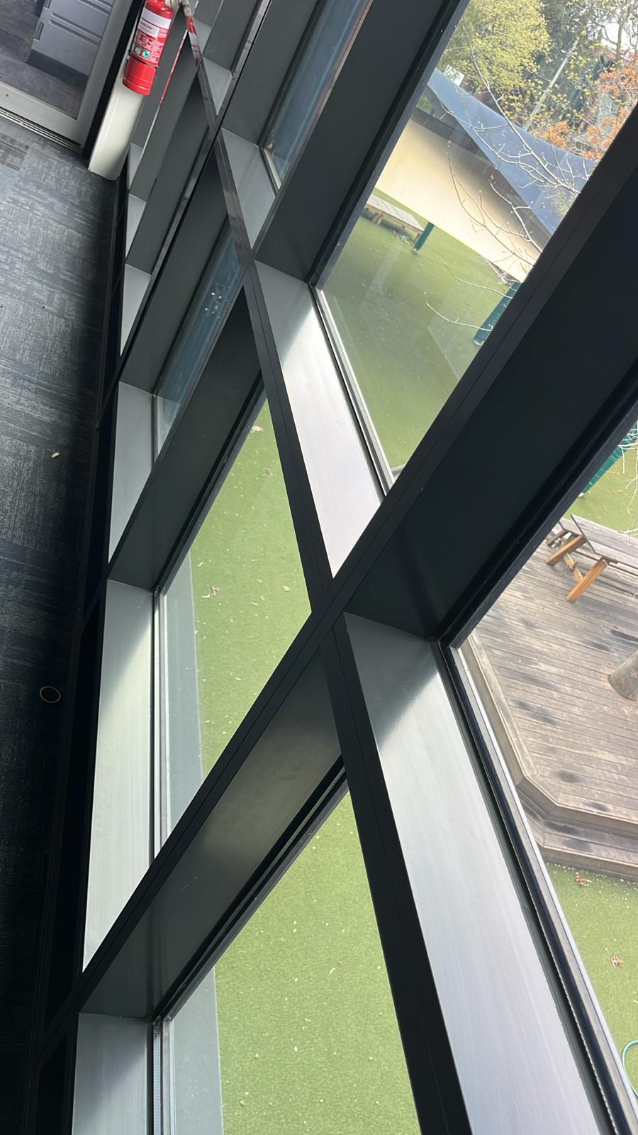 School Cleaning
