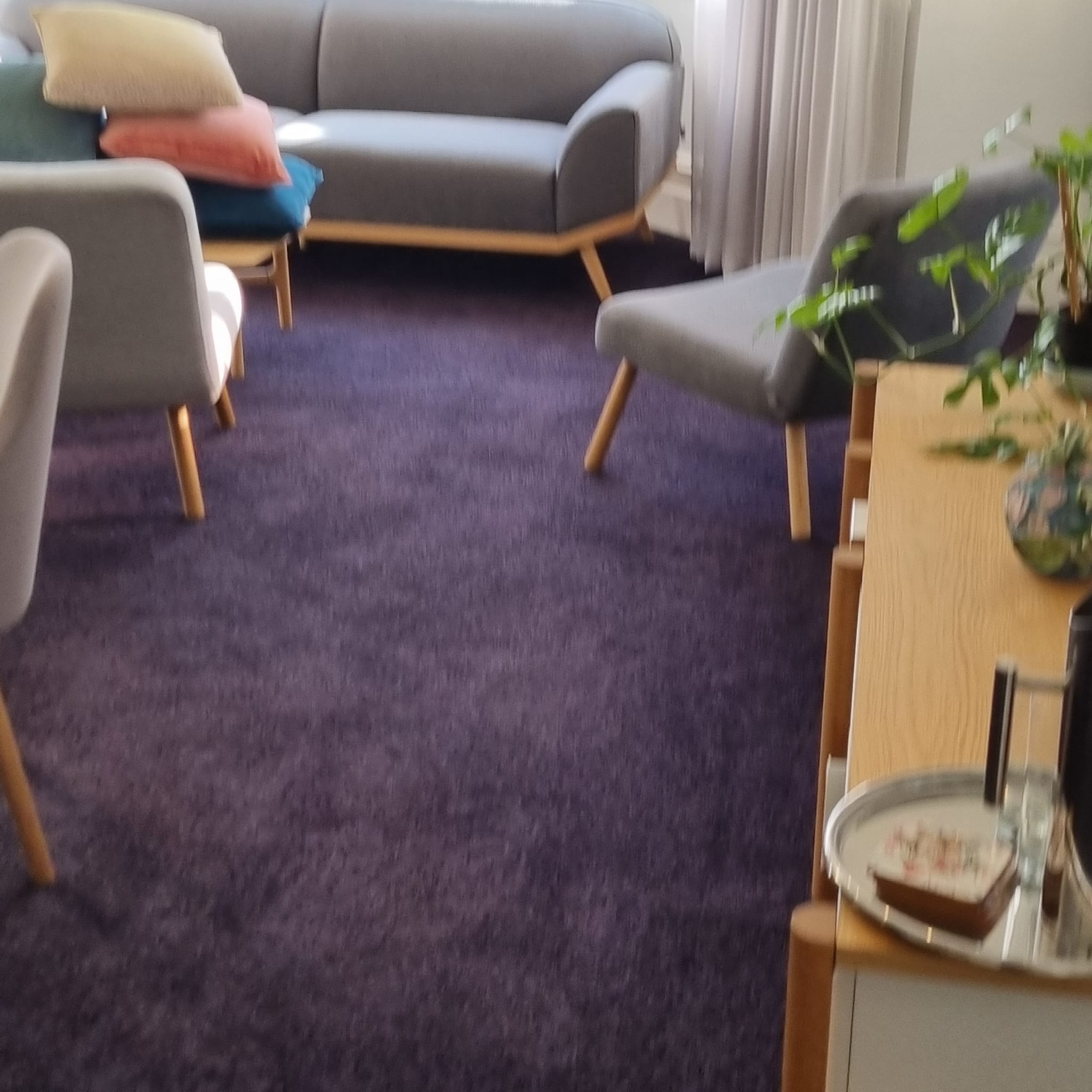 Steam Clean Carpets